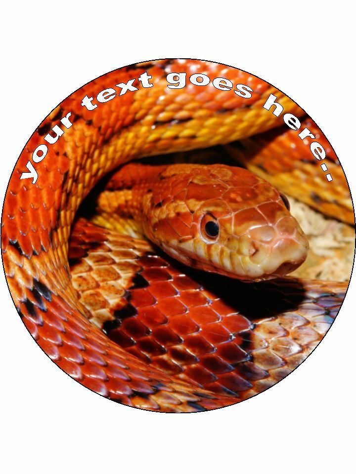 Orange snake reptile Personalised Edible Cake Topper Round Icing Sheet - The Cooks Cupboard Ltd