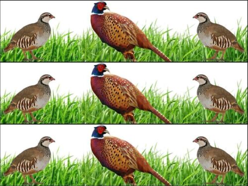 Pheasant Game Bird Grass Sport Ribbon Border Edible Printed Icing Sheet Cake Topper