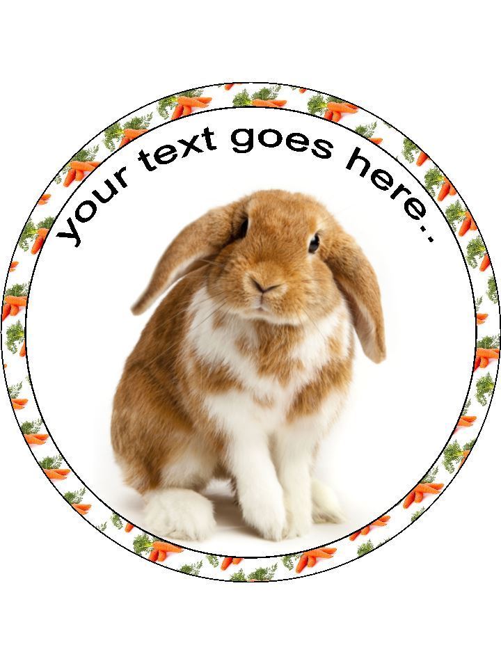 Rabbit Carrot pet animal Personalised Edible Cake Topper Round Icing Sheet - The Cooks Cupboard Ltd