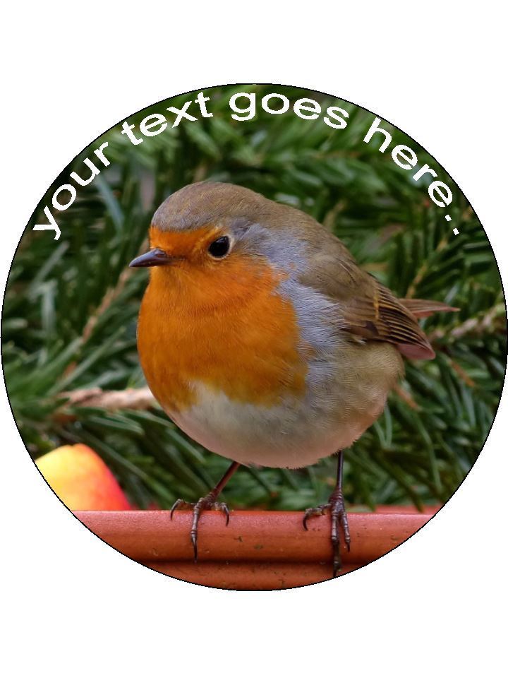 Robin Round bird nature Personalised Edible Cake Topper Round Icing Sheet - The Cooks Cupboard Ltd