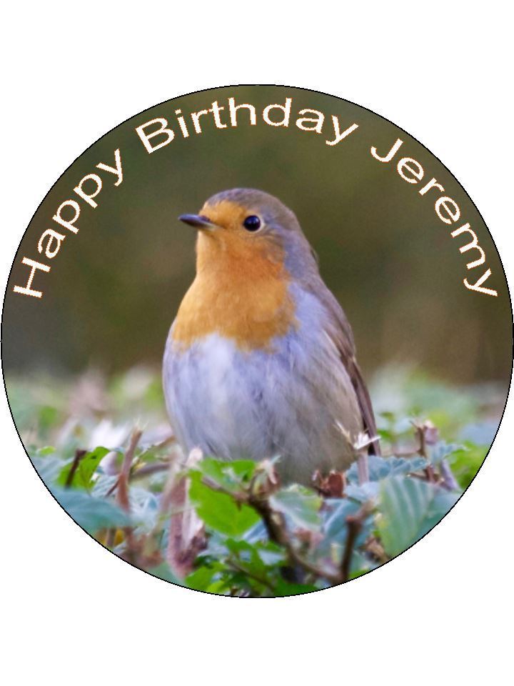 Robin wildlife bird nature Personalised Edible Cake Topper Round Icing Sheet - The Cooks Cupboard Ltd