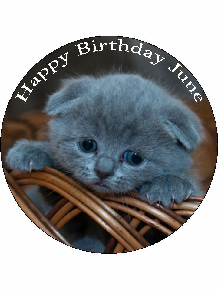 Russian blue kitten cat Personalised Edible Cake Topper Round Icing Sheet - The Cooks Cupboard Ltd
