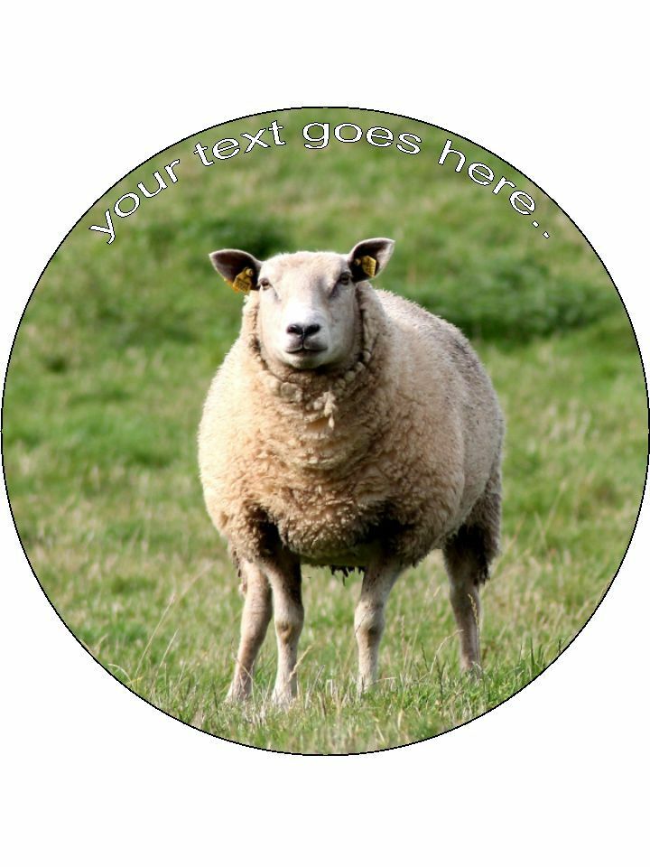 Sheep livestock Texel Personalised Edible Cake Topper Round Icing Sheet - The Cooks Cupboard Ltd