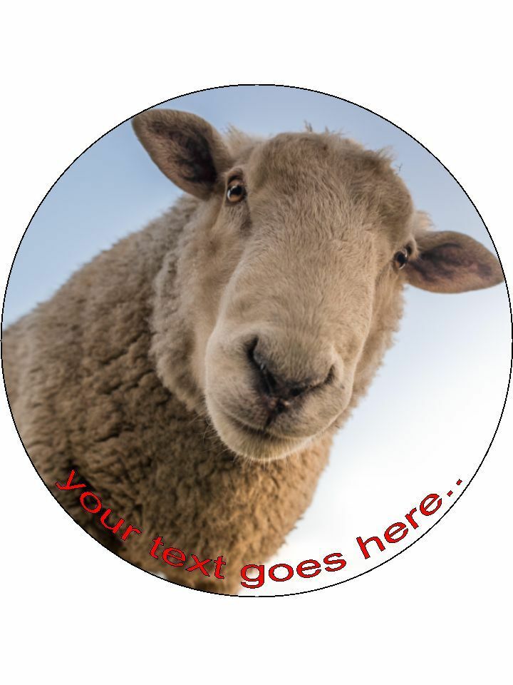Sheep livestock Wool Funny Personalised Edible Cake Topper Round Icing Sheet - The Cooks Cupboard Ltd