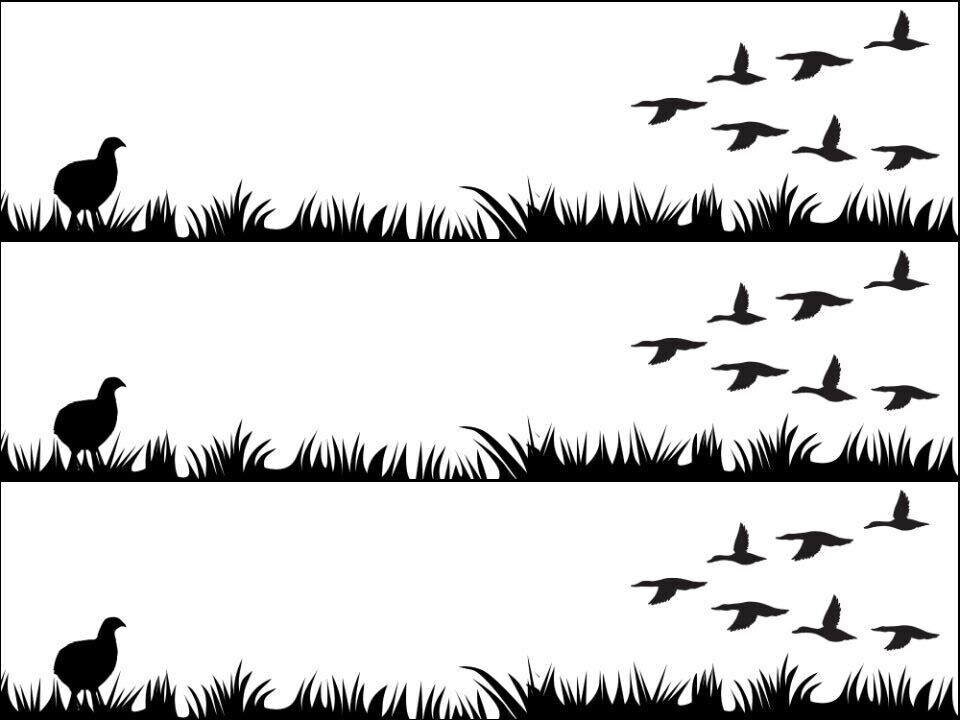 Silhouette Bird Partridge Hunting Ribbon Border Edible Printed Icing Sheet Cake Topper