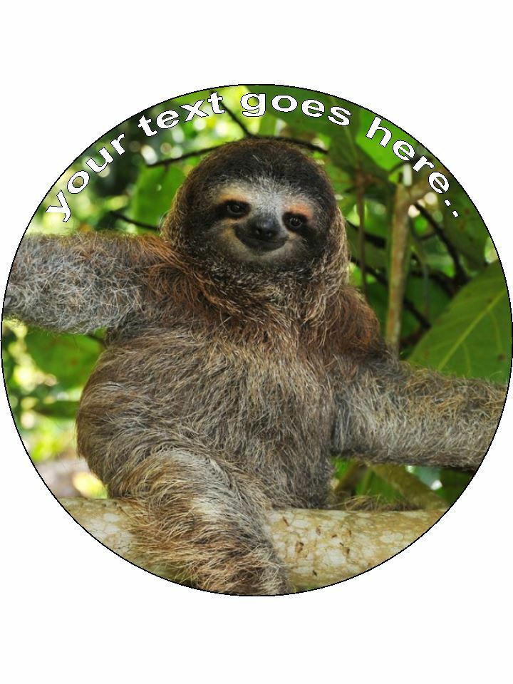 Sloth animal trees nature wild Personalised Edible Cake Topper Round Icing Sheet - The Cooks Cupboard Ltd