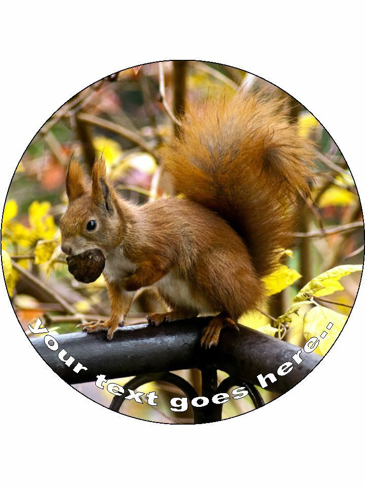 Squirrel Ginger red Nuts Personalised Edible Cake Topper Round Icing Sheet - The Cooks Cupboard Ltd