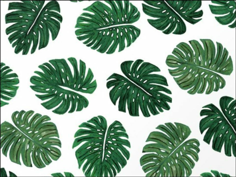 Tropical cheese leaves green leaf Edible Printed Cake Decor Toppers Icing Sheet