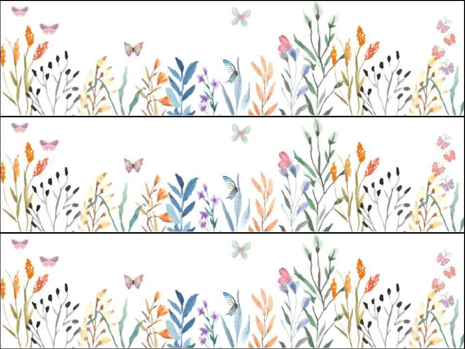 Wild Flower Meadow Butterfly pretty Ribbon Border Edible Printed Icing Sheet Cake Topper