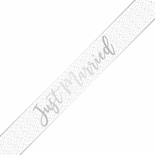 Just Married Silver and White Decorative Celebration Banner