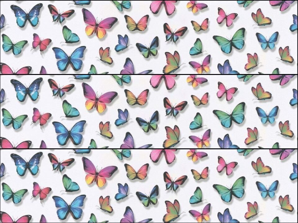 Butterfly Butterflies Colourful Ribbon Border Edible Printed Icing Sheet Cake Topper