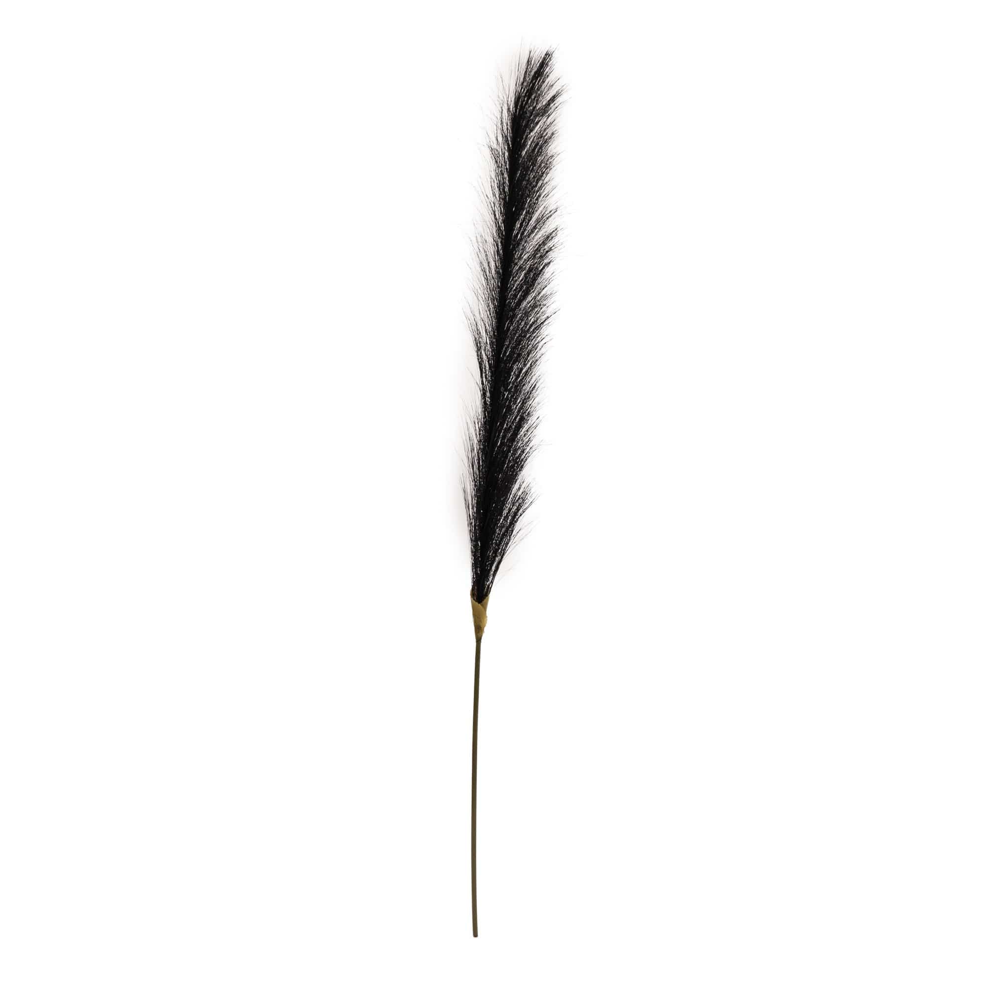 Single Stem Faux Pampas Grass Black 78cm Tall - Kate's Cupboard