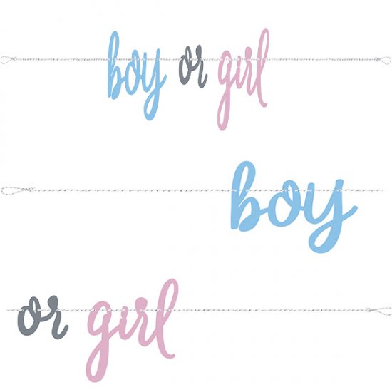 Boy or Girl Blue and Pink Word Decorative Banner