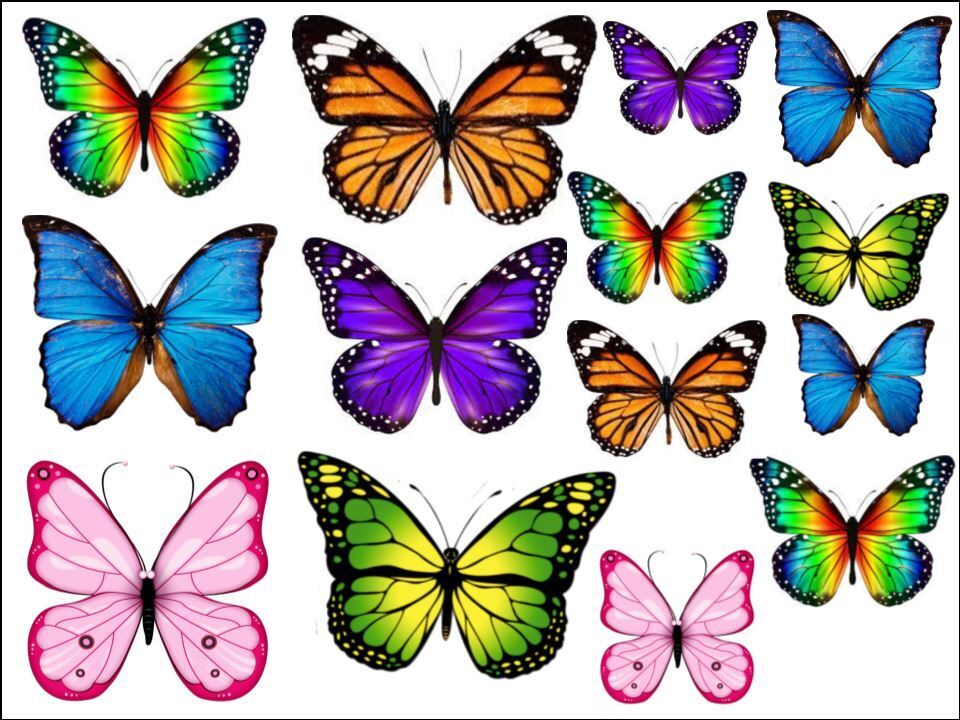 Butterfly colourful butterflies Edible Printed Cake Decor Topper Icing Sheet Toppers Decoration