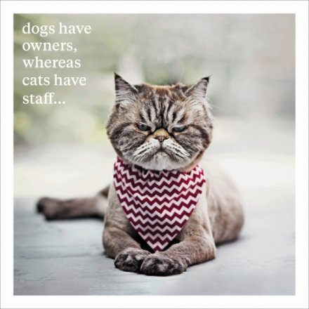 Greeting Card with Envelope - Dogs have owners, whereas cats have staff......