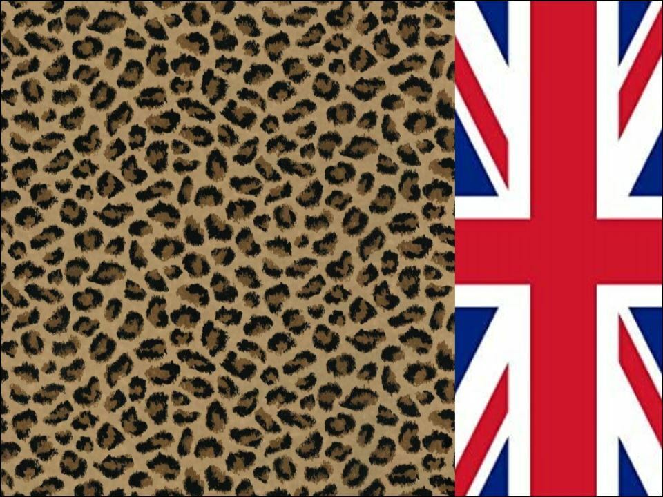 Leopard Print Union Jack Spice Girls Edible Printed Cake Decor Topper Icing Sheet Toppers Decoration