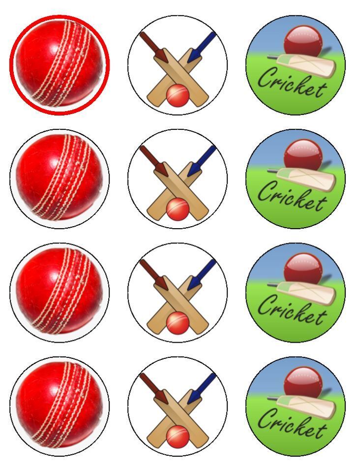 Cricket Hobby Sport Edible Printed Cupcake Toppers Icing Sheet of 12 Toppers