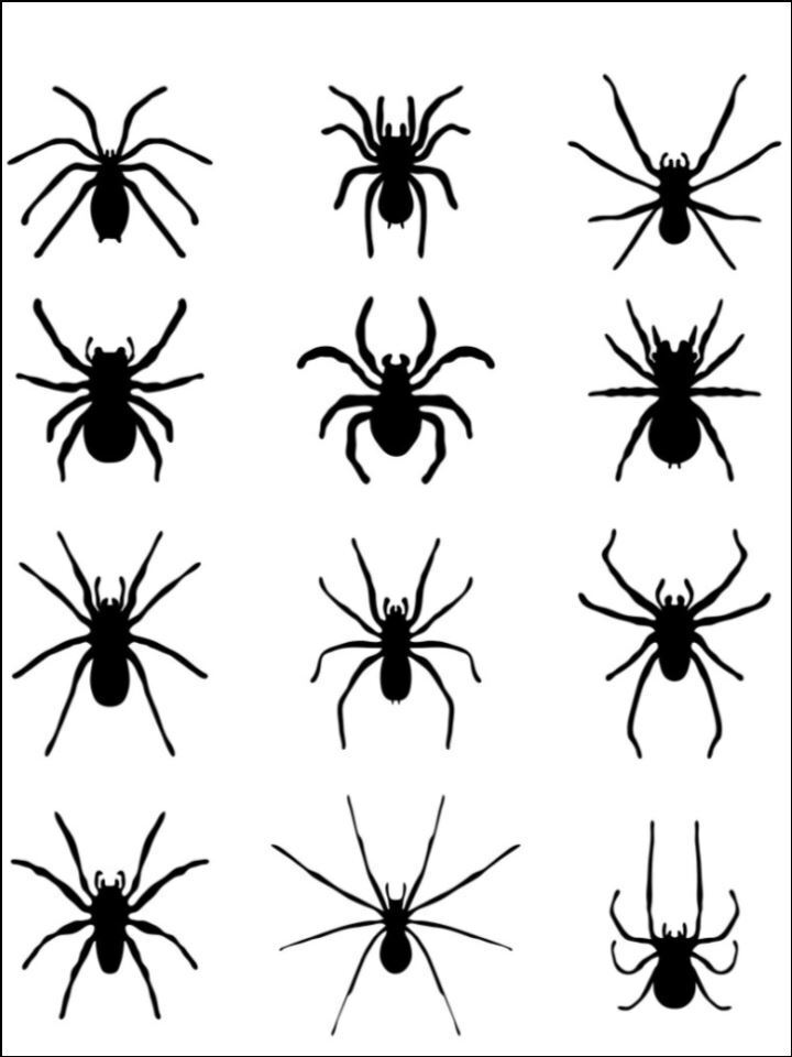 Spiders Halloween silhouette insect Edible Printed Cake Decor Topper Icing Sheet Toppers Decoration