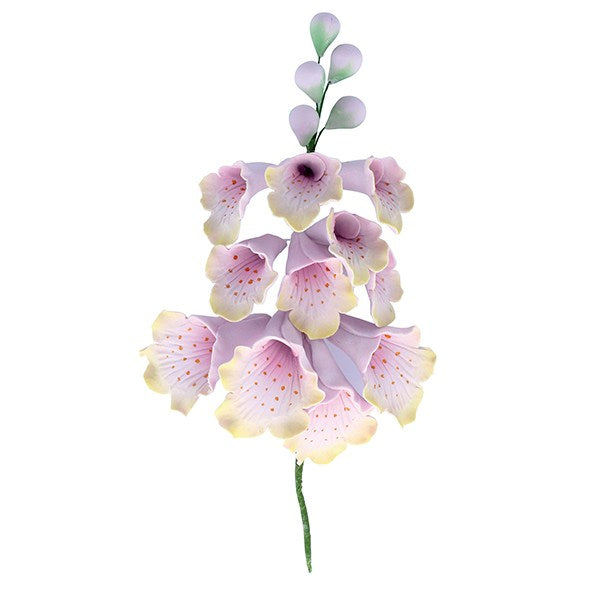 Foxglove Sugar Spray Floral Flower Cake Topper - The Cooks Cupboard Ltd