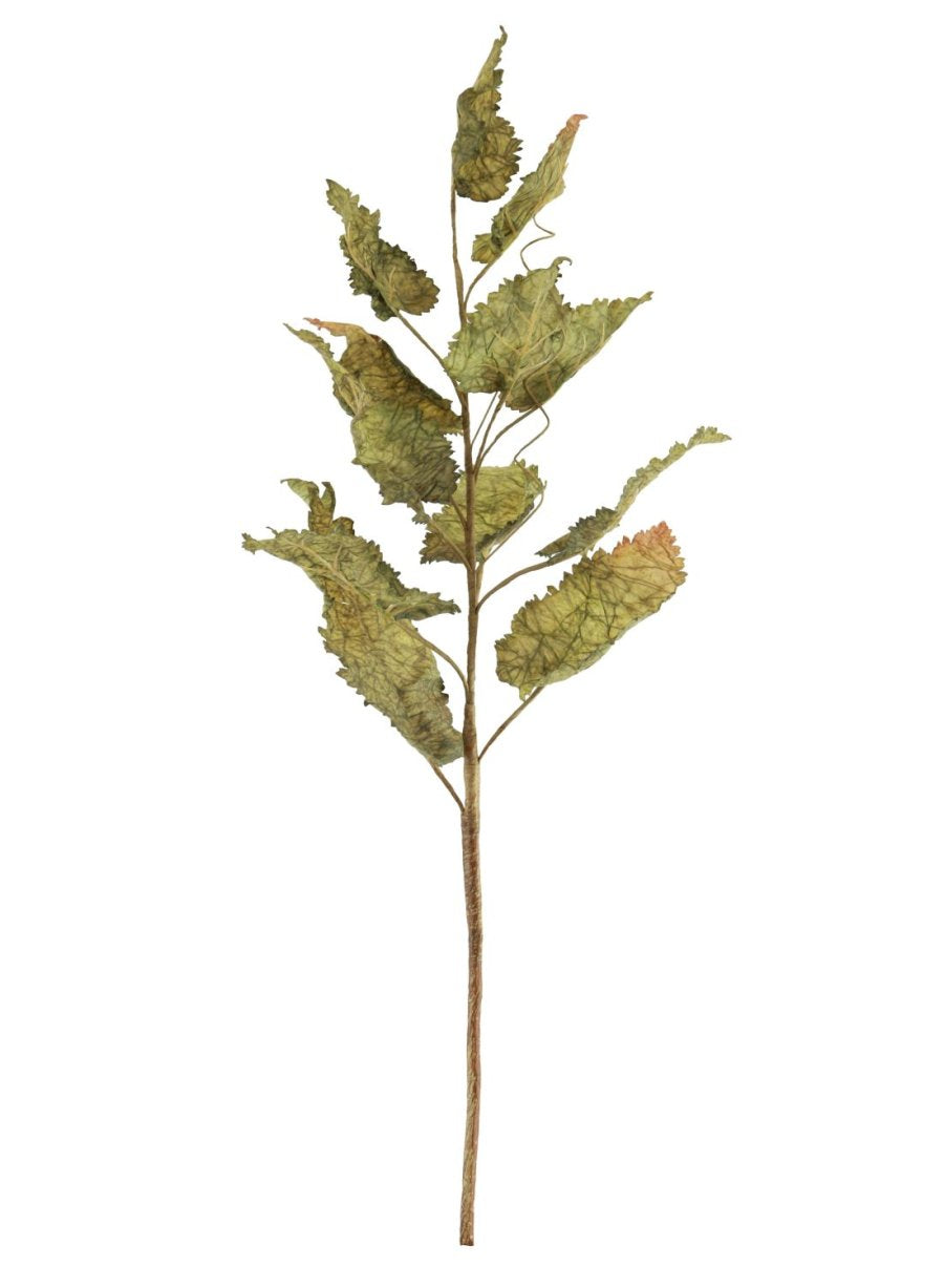 Dried Touch Fall Branch Artificial Foliage Stem - Vintage Green - Kate's Cupboard