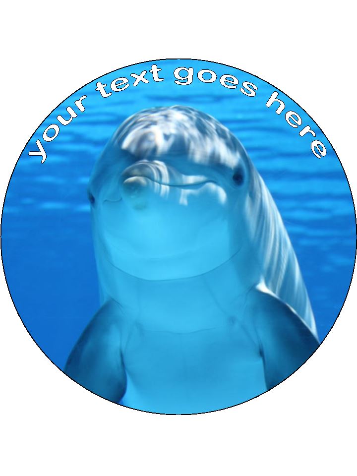 Dolphin Personalised Edible Cake Topper Round Icing Sheet - The Cooks Cupboard Ltd