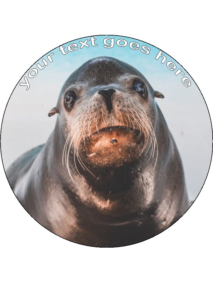 Seal Cute Pup Personalised Edible Cake Topper Round Icing Sheet - The Cooks Cupboard Ltd