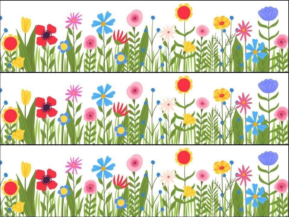 Flowers grass floral flower Ribbon Border Edible Printed Icing Sheet Cake Topper