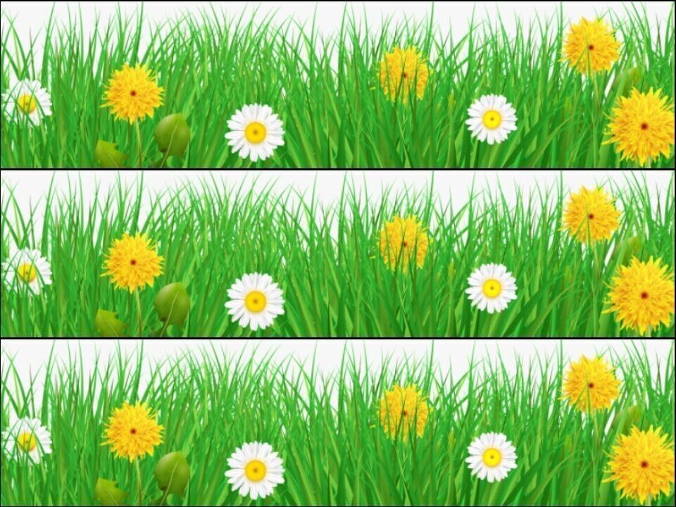 Grass Yellow & White daisy flowers floral Ribbon Border Edible Printed Icing Sheet Cake Topper