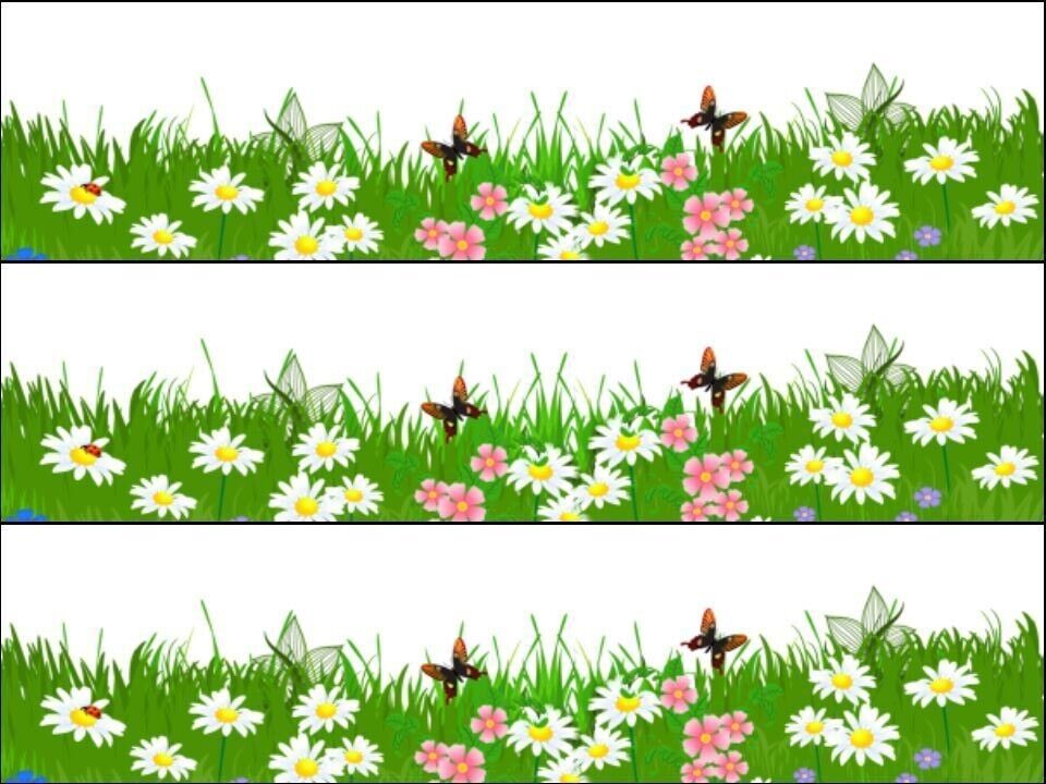 Meadow butterfly flowers floral Ribbon Border Edible Printed Icing Sheet Cake Topper
