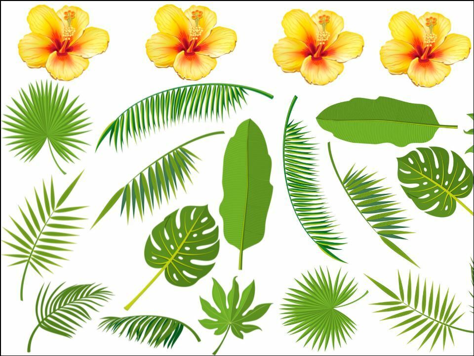 Tropical Flower cheese leaf green leaves Edible Printed Cake Decor Toppers Icing Sheet