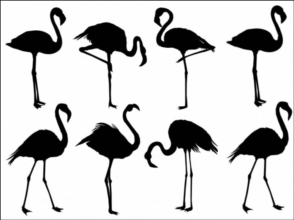 flamingo silhouette tropical Bird Edible Printed Cake Decor Topper Icing Sheet Toppers Decoration