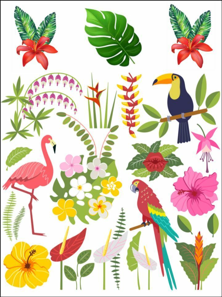 pineapple tropical flamingos leaf Edible Printed Cake Decor Toppers Icing Sheet