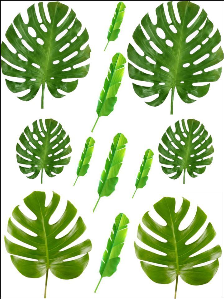 leaves tropical leaves cheese green leaf Edible Printed Cake Decor Topper Icing Sheet Toppers Decoration