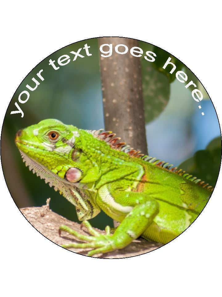 Green iguana reptile Personalised Edible Cake Topper Round Wafer Paper - The Cooks Cupboard Ltd