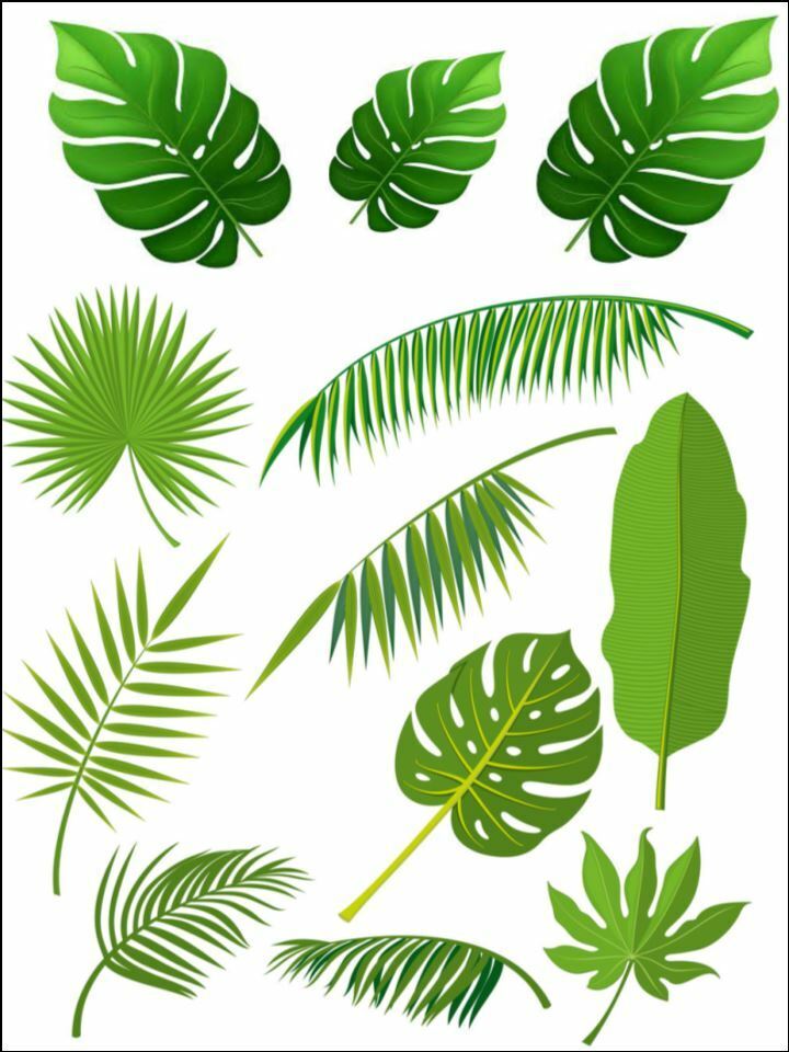 Tropical leaves cheese leaf green Edible Printed Cake Decor Toppers Icing Sheet