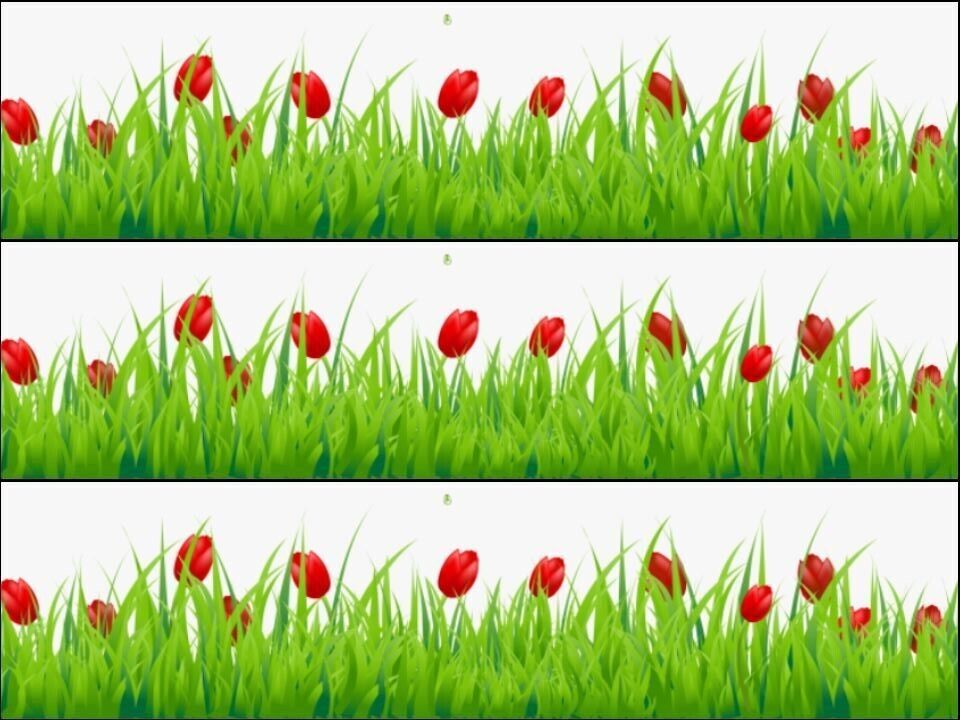 Tulip flowers floral grass Ribbon Border Edible Printed Icing Sheet Cake Topper